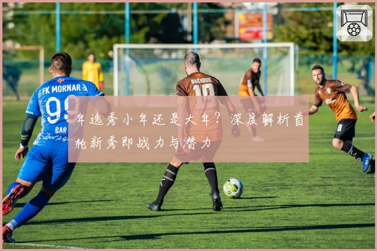 年选秀小年还是大年?深度解析首轮新秀即战力与潜力