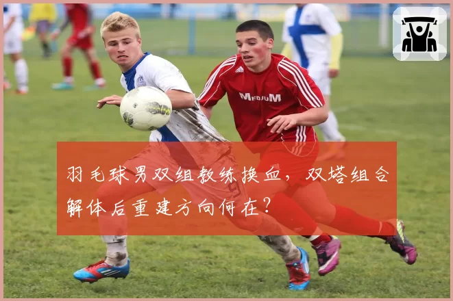 羽毛球男双组教练换血,双塔组合解体后重建方向何在?