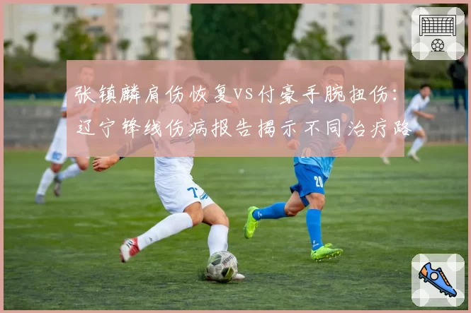 张镇麟肩伤恢复vs付豪手腕扭伤：辽宁锋线伤病报告揭示不同治疗路径