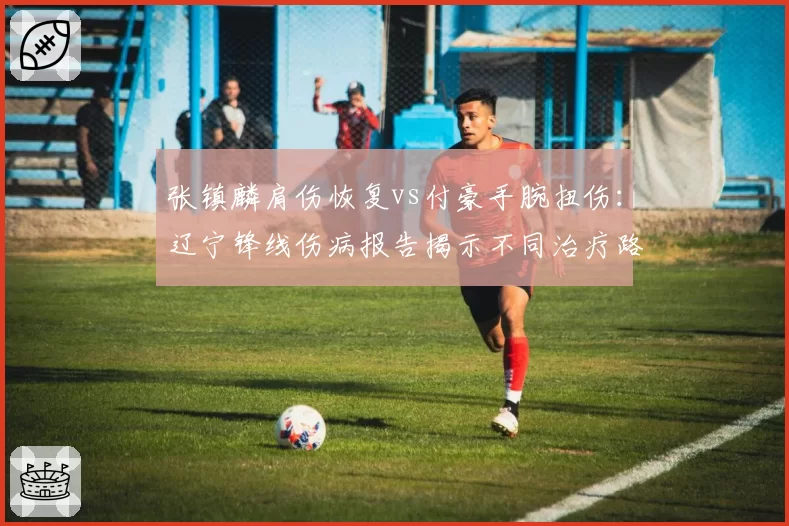 张镇麟肩伤恢复vs付豪手腕扭伤：辽宁锋线伤病报告揭示不同治疗路径